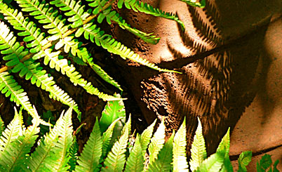 网络电话免费30分钟